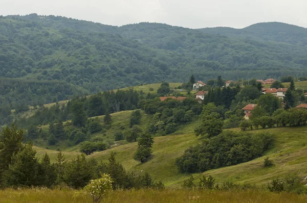 Сцена с горной поляной, лесной и жилой район болгарской деревни Плана, Плана — стоковое фото