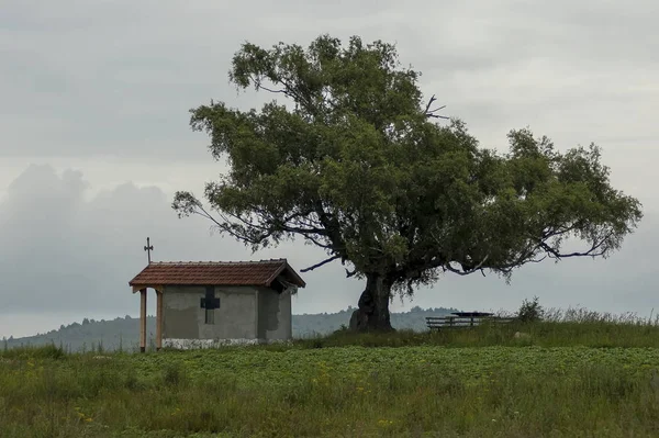 : Mooi landschap met lente eerbiedwaardige birch tree en oude kapel, gelegen in de Plana berg, Bulgarije — Stockfoto