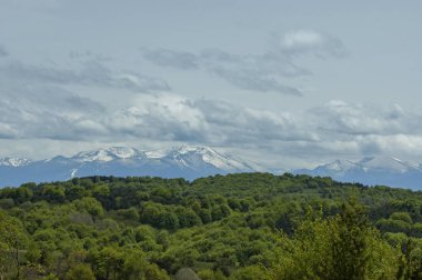 Yeşil glade ve Plana dağ tovard Rila Dağı ormanda bahar doğanın güzel manzara