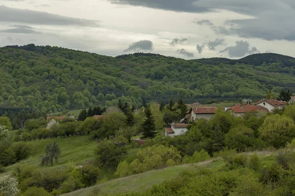 住宅小区的保加利亚村庄睫状体平坦部森林和各种树木与新的叶片和花朵，春天，睫状体平坦部山 — 图库照片