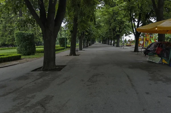 Jardines públicos en Vidin ciudad a lo largo del río Danubio, Bulgaria —  Fotos de Stock