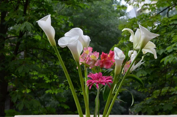 Σύνθεση με μπουκέτο από διαφορετικά λουλούδια — Φωτογραφία Αρχείου