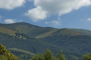 Görkemli dağ üstü, çam ormanları, vadi ve çim Glade, orta Balkan Dağı, Stara Planina ile büyümüş