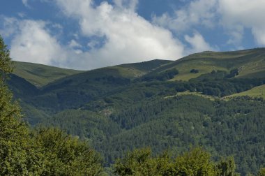 Görkemli dağ üstü, çam ormanları, vadi ve çim Glade, orta Balkan Dağı, Stara Planina ile büyümüş