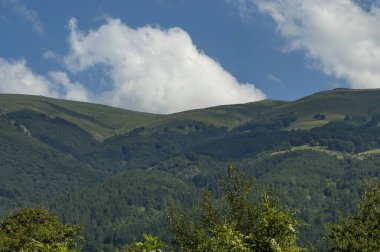 Görkemli dağ üstü, çam ormanları, vadi ve çim Glade, orta Balkan Dağı, Stara Planina ile büyümüş