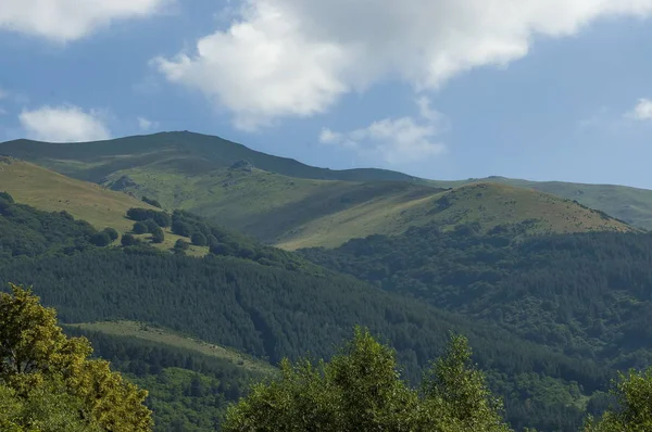 Görkemli dağ üstü, çam ormanları, vadi ve çim Glade, orta Balkan Dağı, Stara Planina ile büyümüş