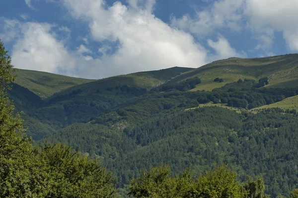 Görkemli dağ üstü, çam ormanları, vadi ve çim Glade, orta Balkan Dağı, Stara Planina ile büyümüş — Stok fotoğraf