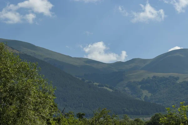 Görkemli dağ üstü, çam ormanları, vadi ve çim Glade, orta Balkan Dağı, Stara Planina ile büyümüş