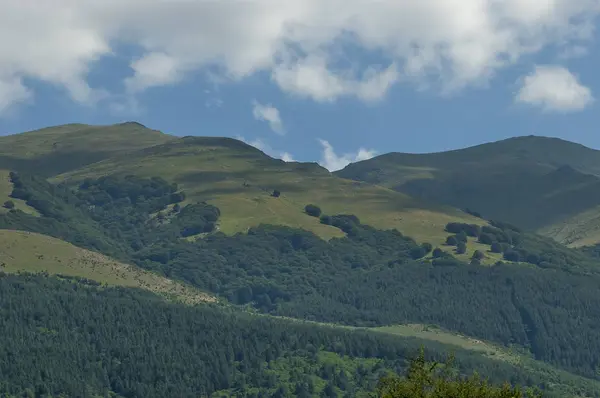 Görkemli dağ üstü, çam ormanları, vadi ve çim Glade, orta Balkan Dağı, Stara Planina ile büyümüş — Stok fotoğraf