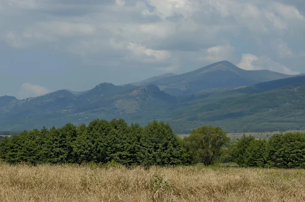 Majestic mountain top overgrown with forest, ripe  wheat  field and grass glade, Central Balkan mountain, Stara Planina — Stock Photo, Image