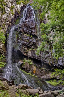 Derin orman ve kaya, Vitosha taze Boyana şelale