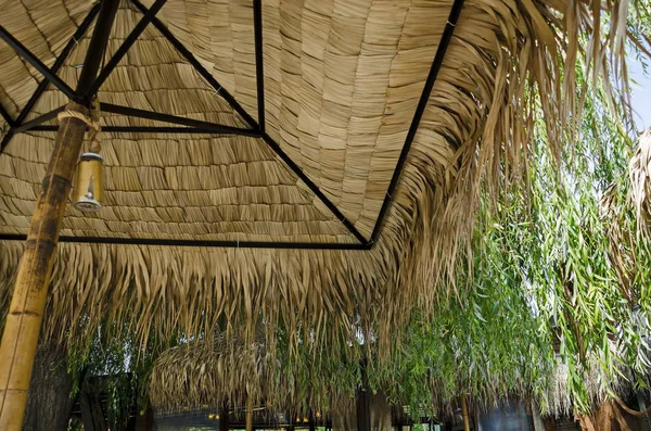 Aşağıda palm tente yakın arkadaşıyla yaz dinlenmek için rahat kuytu yukarıya içinde park Borisova gradina