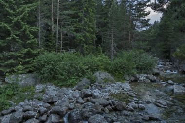 Rila Dağı, Bulgaristan iğne yapraklı orman ve nehir Iskar güzel görünümü