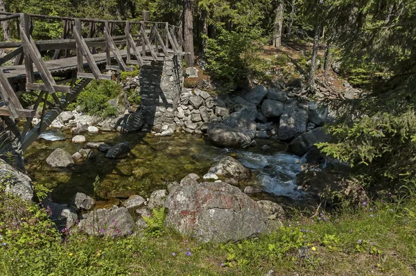 Beautiful view of coniferous forest, river Iskar and wooden bridge in  Rila mountain, Bulgaria — Stock Photo, Image