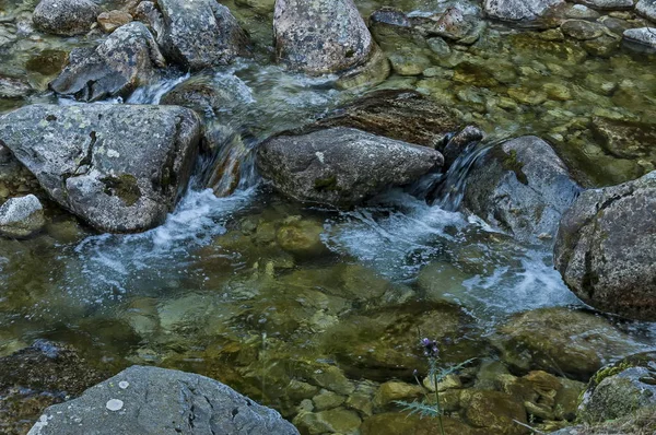 View of river Iskar close up in Rila mountain, Bulgaria — Stock Photo, Image