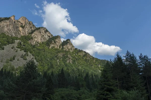 Montagna cima di roccia d'aquila ricoperta di foresta di conifere e radura di montagna di Rila — Foto Stock