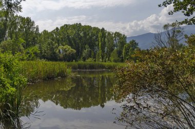 South Park göl arkadaşıyla yaz dinlenmek için rahat kuytu 