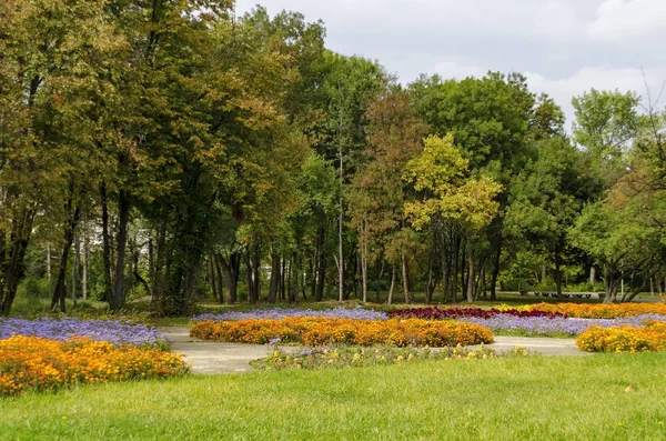 Populaire parc du Nord pour se reposer avec la vieille forêt automnale, banc en bois et jardin de fleurs dans le quartier de Vrabnitsa — Photo