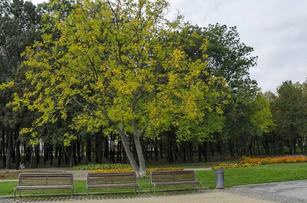 Popular parque norte para descanso com floresta velha outonal, banco de madeira e jardim de flores no distrito de Vrabnitsa — Fotografia de Stock