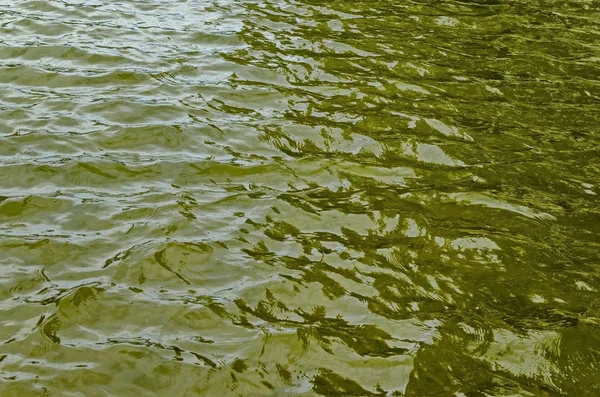 Interessante natuurlijke achtergrond van water met reflectie bij lake in populaire Noord park, Vrabnitsa district — Stockfoto