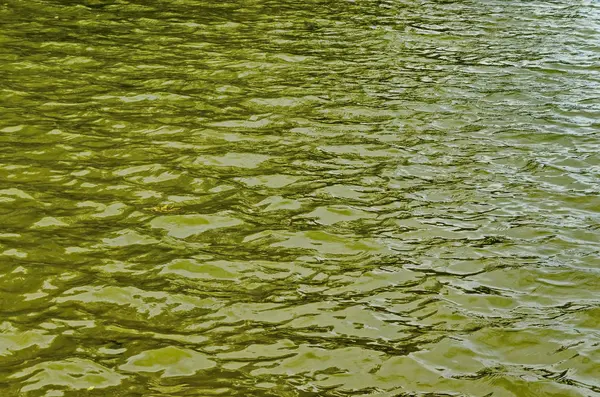 Latar belakang alami air yang menarik dengan refleksi di danau di Taman Utara Populer, distrik Vrabnitsa — Stok Foto