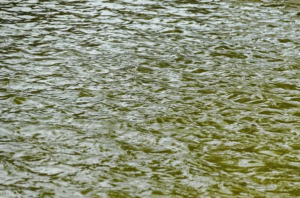 Ciekawe tło naturalne wody z refleksji nad jeziorem w popularnych north park, Vrabnitsa district — Zdjęcie stockowe