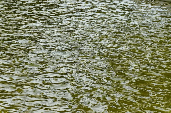 Latar belakang alami air yang menarik dengan refleksi di danau di Taman Utara Populer, distrik Vrabnitsa — Stok Foto