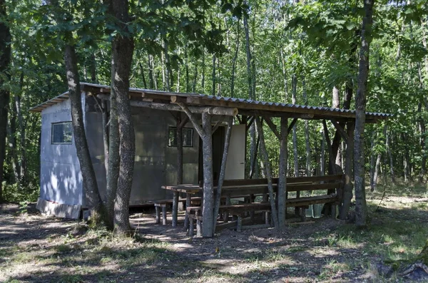 Rincón acogedor con refugio de madera para relajarse en verano con un amigo en el bosque verde — Foto de Stock
