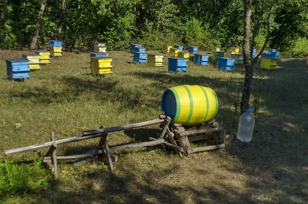 森林のフィールドでのミツバチの巣箱を養蜂場の方を見る — ストック写真
