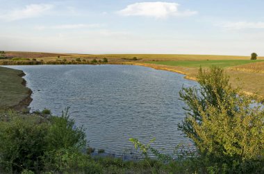 Sonbahar bir alanda Gölü manzaralı güzel manzara 