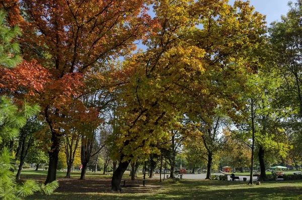 A pihenésre és a séta az őszi sárga és vörös lomb, Oborishte district népszerű Zaimov park — Stock Fotó