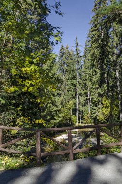 Eski park Tsarska veya ile Royal Bistritsa nehir teraslı ve farklı ormandaki ağaçlar saygıdeğer sonbahar tarafından Borovets resort