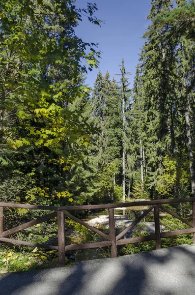 Vecchio parco Tsarska o Royal Bistritsa con fiume a terrazze e alberi in modo diverso nella venerabile foresta autunnale vicino al resort Borovets — Foto Stock