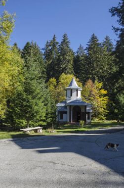 Sonbahar saygıdeğer çam ağacı ve eski şapeli, güzel manzara bulunan eski parkta Tsarska veya yakınında Royal Bistritsa resort Borovets tarafından