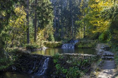 Eski park Tsarska veya teraslı nehir, şelale ve farklı ormandaki ağaçlar saygıdeğer sonbahar resort Borovets tarafından Royal Bistritsa
