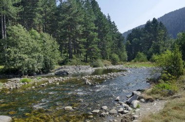 Sonbahar orman ve nehir Iskar Rila Dağı, Bulgaristan, Avrupa'nın güzel manzarasına 