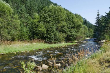 Sonbahar orman ve nehir Iskar Rila Dağı, Bulgaristan, Avrupa'nın güzel manzarasına 
