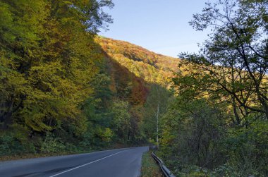 Güzellik kuytu dinlenmek ve sonbahar yaprakları, Rila Dağı, Bulgaristan ile yürümek için 