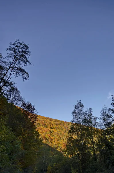 Coin Beauté Pour Reposer Marcher Avec Feuillage Automnal Montagne Rila — Photo