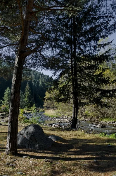 Bella Vista Della Foresta Autunnale Fiume Iskar Montagna Rila Bulgaria — Foto Stock