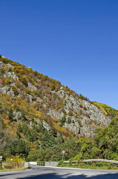 Berglandschap Met Bomen Anders Eerbiedwaardige Herfst Bos Glade Rila Gebergte — Stockfoto