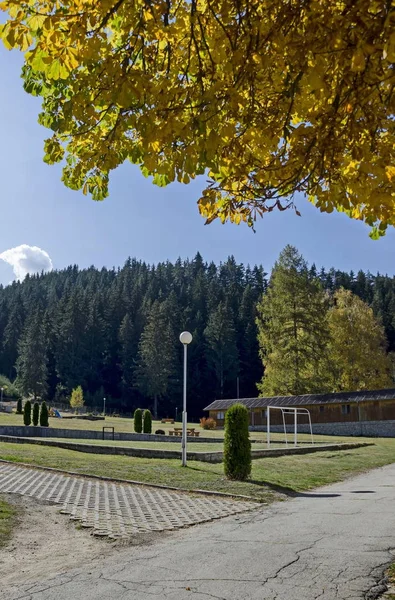 Jesienny Widok Kierunku Publiczny Ogród Lasem Nowe Przedszkole Świeżym Powietrzu — Zdjęcie stockowe