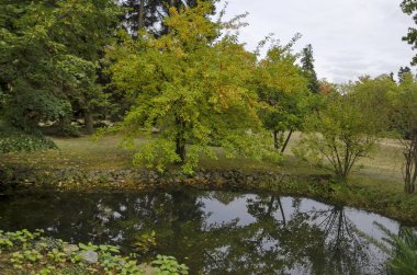 Orman ve göl ile ulusal anıt yansıması Peyzaj Mimarlığı Park Müzesi Vrana Sofya, Bulgaristan, Avrupa'nın dışında yer alan eski zaman Kraliyet Sarayı  