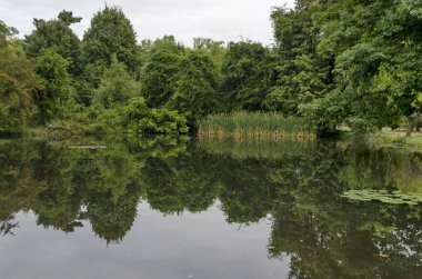 Orman, göl yansıma, reed veya kamış ve Nilüfer ulusal anıt Peyzaj Mimarlığı Park Müzesi Vrana Sofya, Bulgaristan, Avrupa'nın dışında yer alan Kraliyet Sarayı eski zaman içinde  