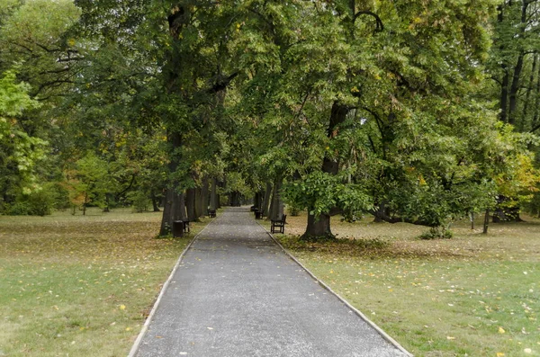 Vue Vers Forêt Clairière Sentier Dans Monument National Architecture Paysagère — Photo