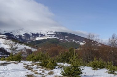 Bulutlu gökyüzü, kış dağ, karlı glade, bir yerleşim bölgesinde, kozalaklı ve Plana dağ Vitosha mountain, Bulgaria, Europe doğru yaprak döken orman görkemli görünümü  