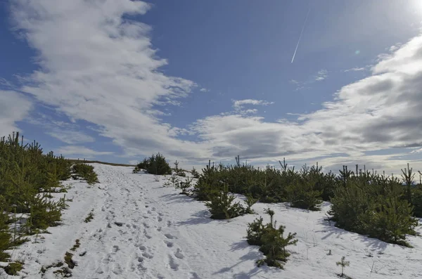 Vista Maestosa Del Cielo Nuvoloso Montagna Invernale Radura Innevata Foresta — Foto Stock