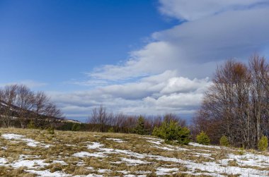 Bulutlu gökyüzü, kış dağ, karlı glade, kozalaklı ve Plana dağ Vitosha mountain, Bulgaria, Europe doğru yaprak döken orman görkemli görünümünü 