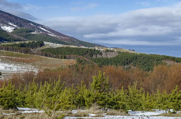 Vue Majestueuse Sur Ciel Nuageux Montagne Hiver Clairière Enneigée Forêt — Photo