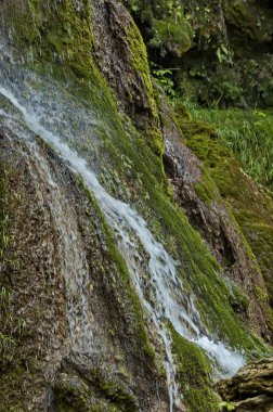 Krushuna şelale çağlayan Köyü Krushuna, Bulgaristan yakınındaki Proinovska Nehri'nin parçası